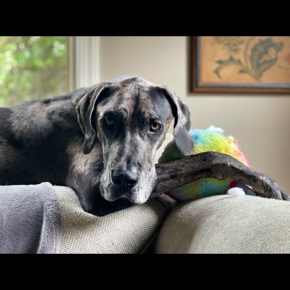 Meet your Posher, April